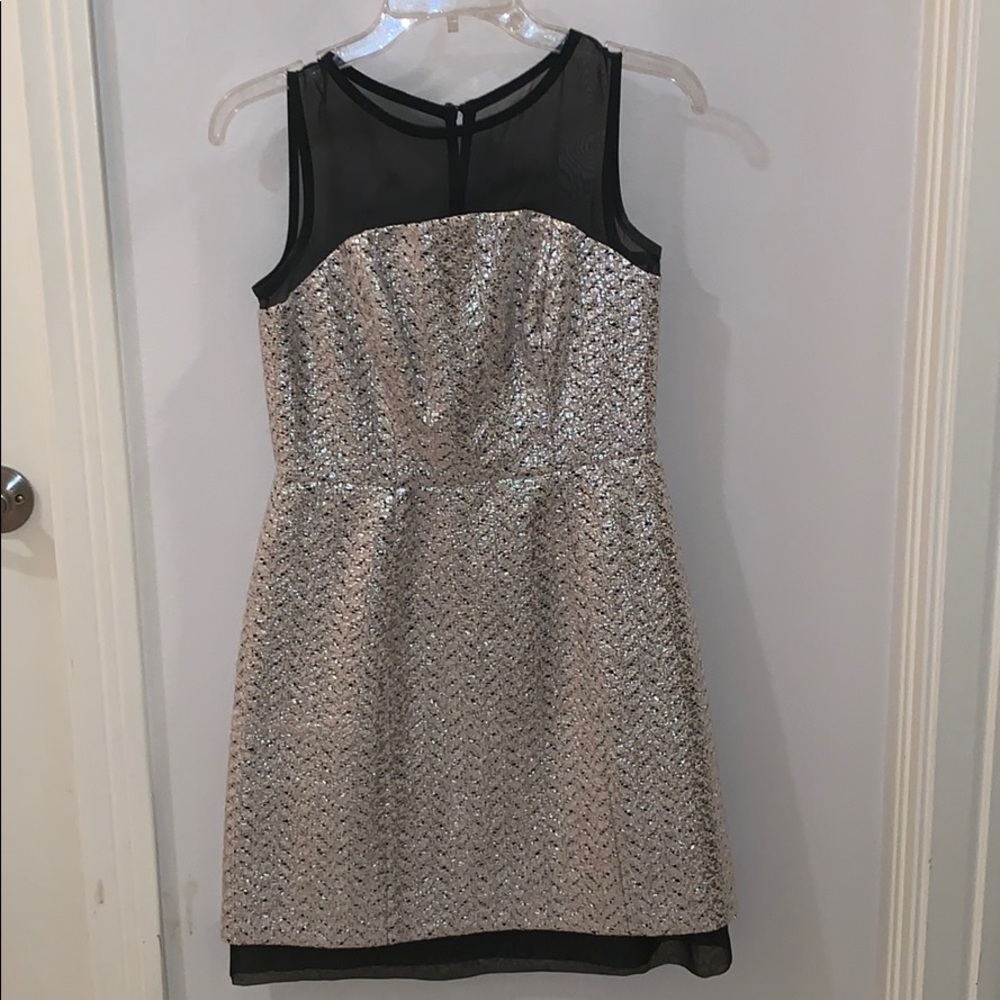 Silver and Black Cocktail Dress